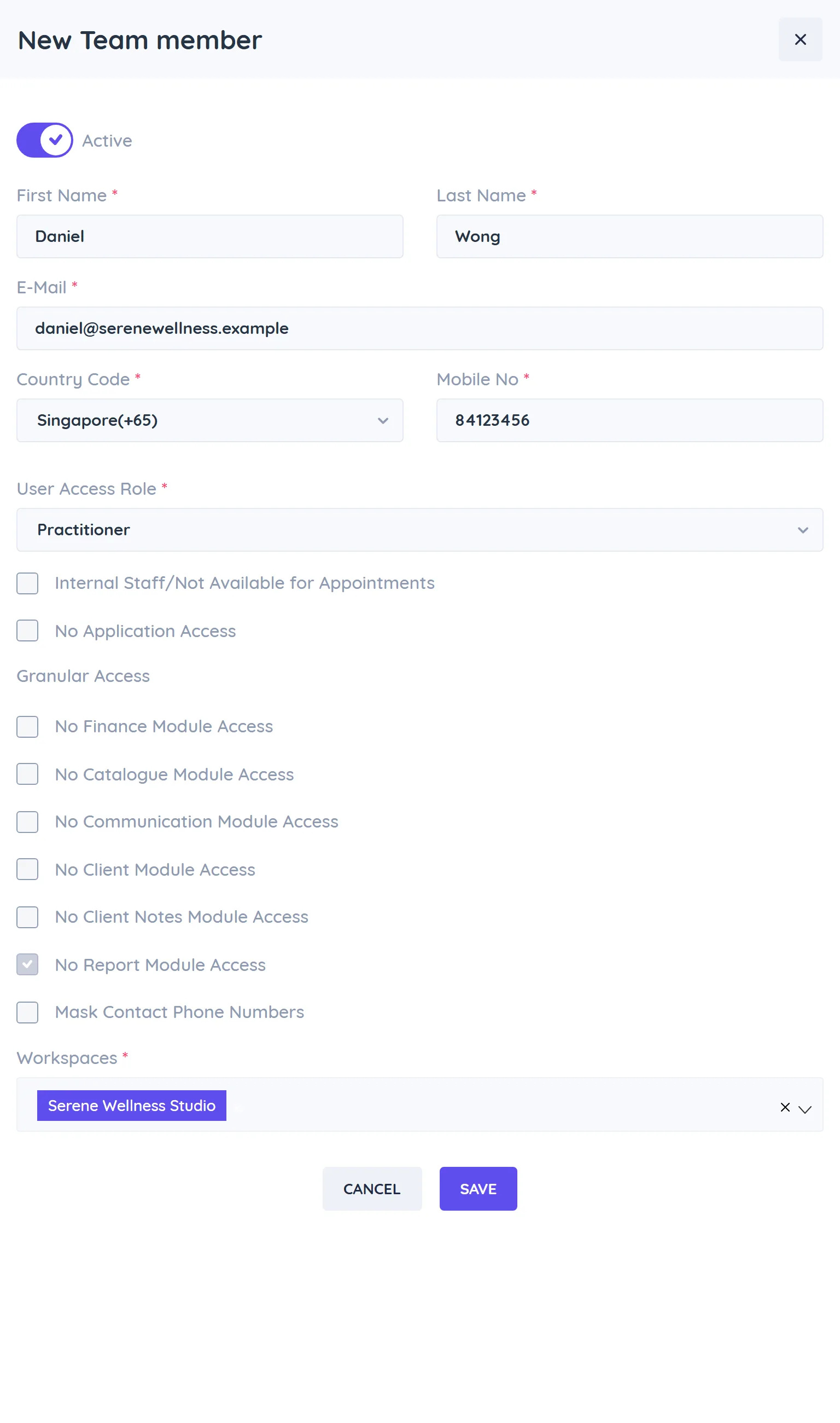 The New Team member form with name, email, mobile number, User Access Role, the Granular Access checkboxes and the Workspaces field