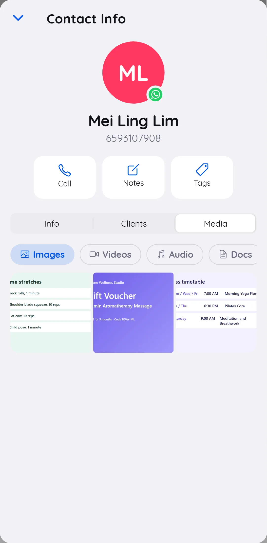 The Media tab in the mobile contact info showing a grid of photos shared in the conversation with Images, Videos, Audio and Docs filters