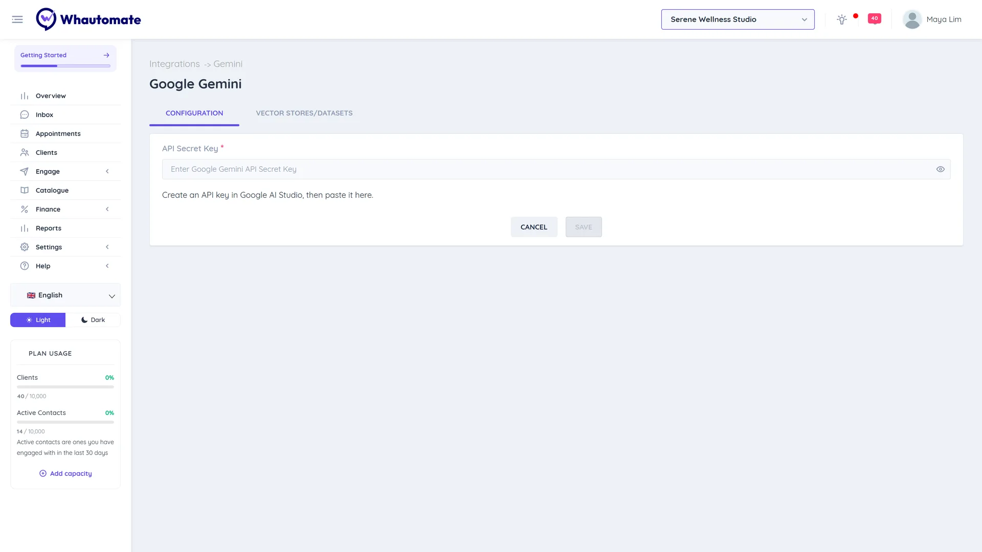 The Google Gemini Configuration tab with the API Secret Key field, the help text about Google AI Studio and the Save button